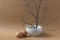 Easter composition with willow branches on pin frog in vase and two brown organic eggs. Spring decor on beige background