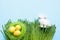 Easter composition of yellow eggs in nest and bunny in grass. Space for text