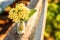 Easter concept. Bouquet of Primrose Primula with yellow flowers in glass vase under soft sunlight and blurred backdrop.