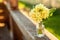 Easter concept. Bouquet of Primrose Primula with yellow flowers in glass vase under soft sunlight and blurred backdrop.