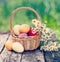 Easter concept - eggs, basket and daisies. Vintage retro hipster