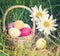 Easter concept - eggs, basket and daisies. Vintage retro hipster