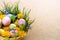 Easter. Congratulations on the spring holiday of Easter.