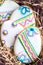 Easter cookies