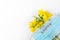 Easter coronavirus covid 19 quarantine concept. Face medical mask on narcissus flowers on white background. flat lay
