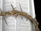 Easter crown of thorns on Bible