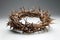 Easter Crown of Thorns on white background with shadow worn by Jesus Christ is a powerful symbol of his suffering and sacrifice.