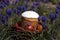 Easter cupcake and painted eggs lie in a wicker basket on a flowerbed with blue muscari flowers. Easter concept, spring