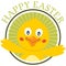 Easter Cute Chick Greeting Card