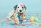 Easter Dalmatian Puppy