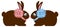 Easter Day Chocolate Bunny Rabbit Pair