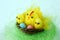 easter decoration: baby chicken roost