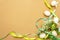 Easter decoration background. Eggs, ribbons, fresh flowers and leaves. Light matte beige backdrop