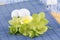 Easter decoration with egg shell and hellebore flower on a blue pad