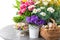 Easter decoration flowers, eggs, cake. Campanula, forsythia, daisy