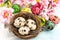 Easter decoration with flowers and eggs. Springtime