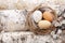 Easter decoration - nest with eggs with willow on birch wooden background