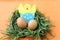 Easter decoration: yellow eggs and hand made hatched chicken in eggshell in green grass twigs nest on orange background