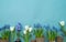 Easter decorative composition on a blue background. White rabbit, tulips, flower pots, unpainted eggs and a tree.