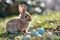 Easter Delight, Joyful Celebration with Eggs and Bunny. AI Generated