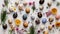 Easter Delight: Quail Eggs and Bright Blooms in Aerial View