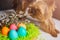 Easter dog Yorkshire terrier with eggs