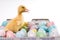 Easter Duck With Confetti Eggs