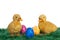 Easter Ducklings