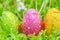 Easter egg deposited on the prairie grass
