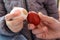 Easter Egg Fight: Celebrating Spring\\\'s Colorful Traditions