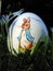 Easter egg hidden in the grass