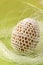 Easter egg with white crochet decoration