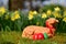 Easter eggs and a baked Easter lamb in a meadow