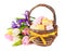 Easter eggs in a basket and spring flowers