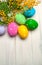 Easter eggs with branch of mimosa flowers