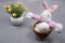 Easter eggs  bunny rabbit and spring flowers on gray background. Colors year 2021 gray and illuminating yellow