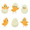 Easter eggs chicks