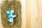 Easter eggs concept in a nest on hay with willow seals on wooden background