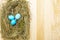 Easter eggs concept in a nest on hay with willow seals on wooden background