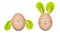 Easter eggs decorated with fresh salad leaves. Funny faces drawn on the eggs. Easter bunny and chicken made of henâ€™s egg