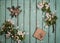 Easter eggs decoration on rustic wooden background. Quail eggs gift box and spring apple blossom on a old wooden background.