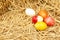 Easter eggs decoration on straw backgrounds