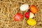 Easter eggs decoration on straw backgrounds above