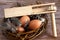 Easter eggs with feathers in nest with Traditional easter instrument - wooden rattle - clapper - ratchet on wooden desk - table