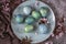 Easter eggs with flowering twigs