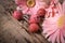 Easter eggs with gerbera daisy flowers