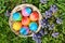 Easter eggs in the grass