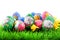 Easter eggs on grass