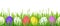 Easter eggs and grass border