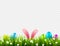 Easter eggs on grass with bunny rabbit ears set. Spring holidays in April. Sunday seasonal celebration with egg hunt.